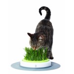 Catit Design Senses Grass Garden Kit