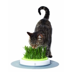 Catit Design Senses Grass Garden Kit